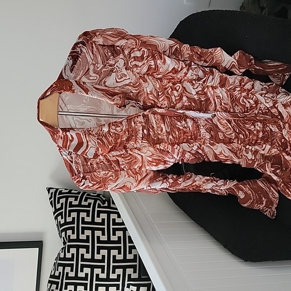 Collared Buttoned Front Ruched Mesh Dress - Picture 5 of 7